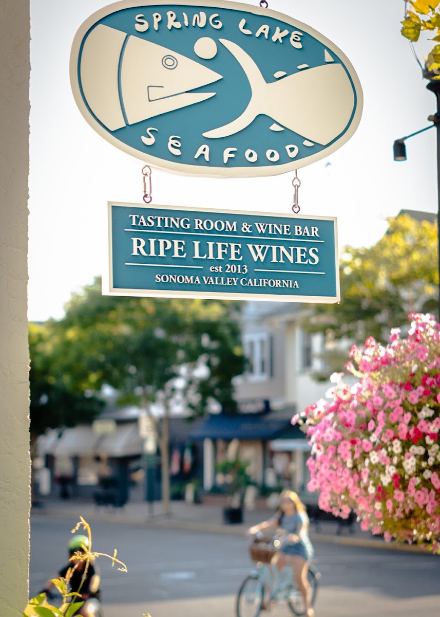 Spring Lake Seafood-4